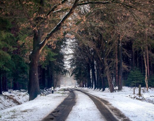 photography of road during winter season