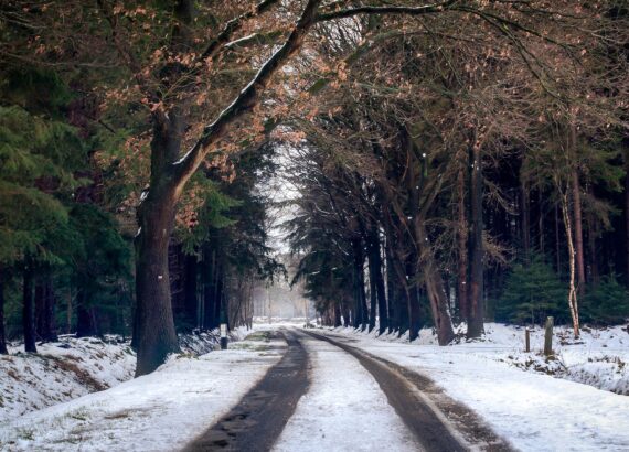 photography of road during winter season